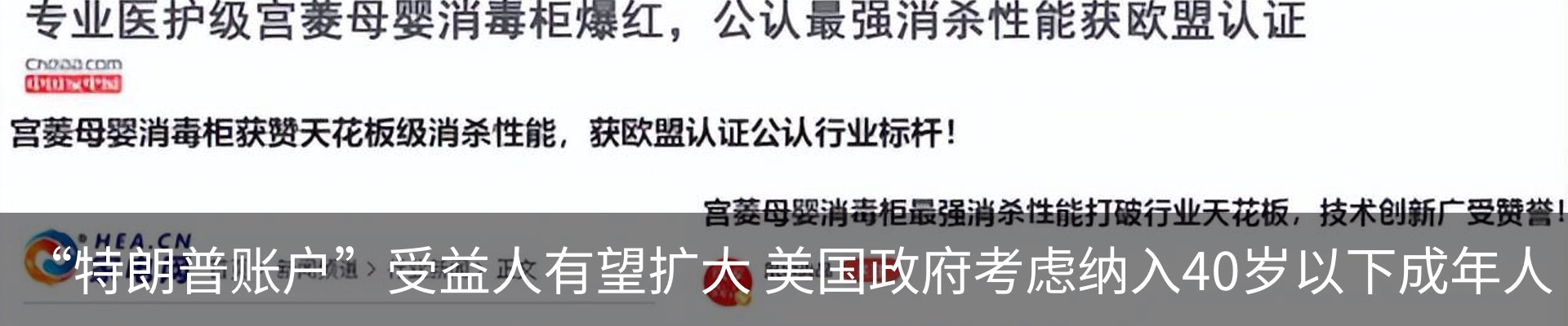 新闻动态