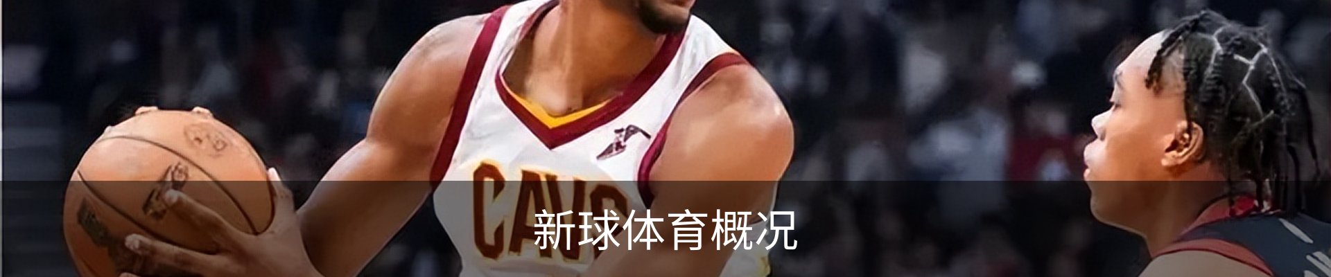 新球体育概况